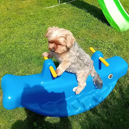 Sweet En Gaume * シニー